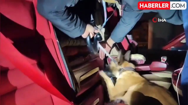 Narkotik Arama Köpeği Mia ile Uyuşturucu Operasyonu