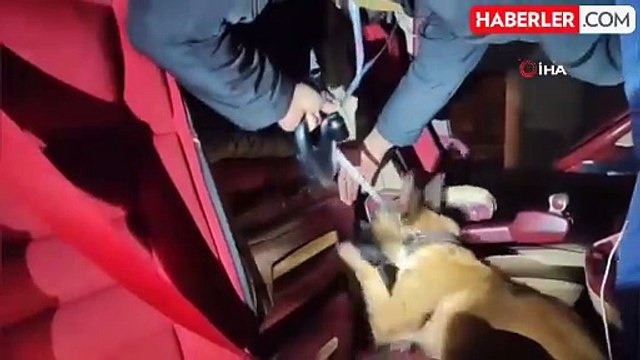 Narkotik Arama Köpeği Mia ile Uyuşturucu Operasyonu