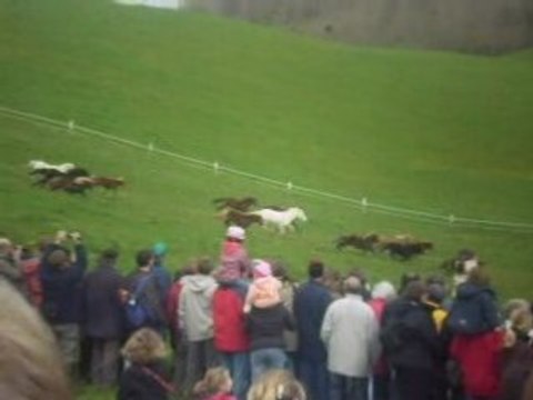Laché de poney de Bois-Guilbert (76)