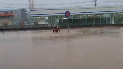 충남 서산·당진 등 도로 한때 침수...시간당 60mm 폭우 / YTN