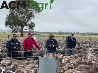 Keith off-shears sale | Stock Journal