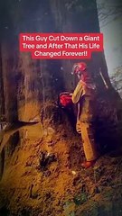 This Guy Cut Down a Giant Tree and After That His Life Changed forever