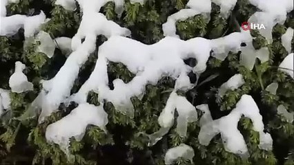 Abant Gölü'nde Kış Manzarası!