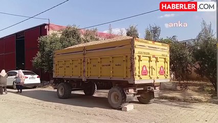 Yer Fıstığı Üreticisi Sosyal Medyadan Satışa Geçti