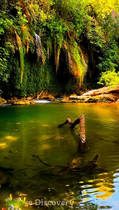 Relaxing Nature and relaxing Music  || Nature Discovery........#nature #relax #relaxing #shortvideo