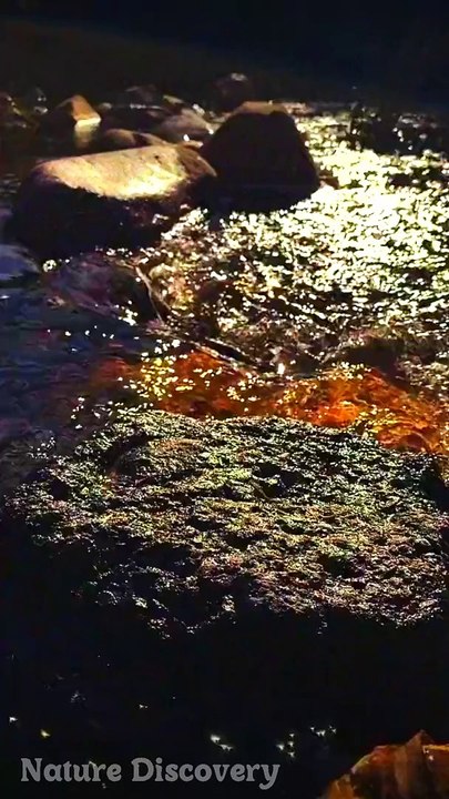 Relaxing Nature and relaxing Music  || Nature Discovery........#nature #relax #relaxing #shortvideo