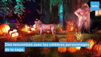 L'univers Harry Potter débarque à Montauban