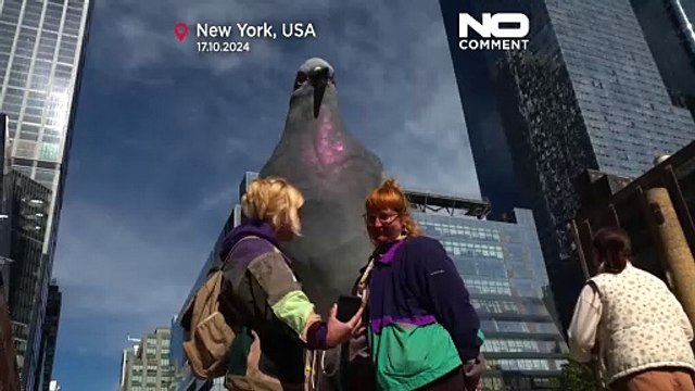 No Comment : sculpture géante d'un pigeon à New York