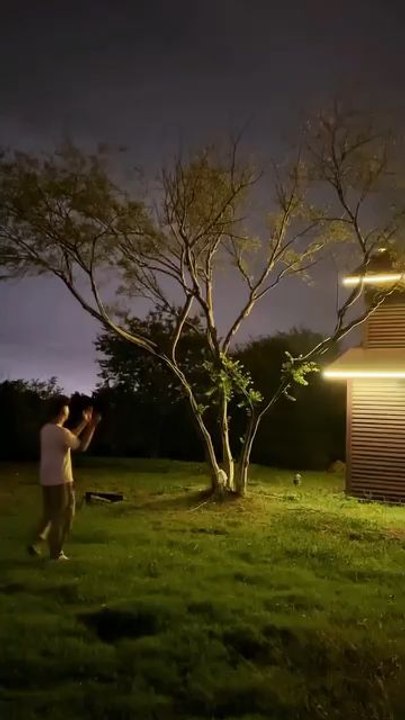 "The Lighting Tree Magically Have Officiallyamazing Grow Account Follow For More Videos Have Trendingreels"...!!