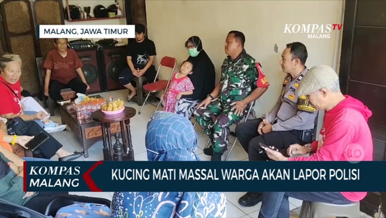 Kucing Mati Massal Diduga Diracun, Warga Akan Lapor Polisi