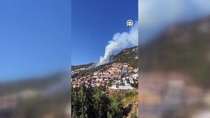 Bir orman yangını haberi daha! Havadan ve karadan müdahale ediliyor