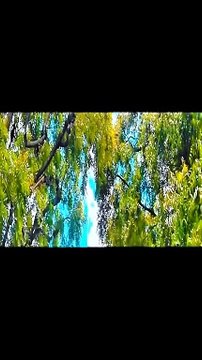 #shorts||Dil❤️ Kahe Ke Whatsapp Status||Khuda Jaane Status||Bachana Ae Haseeno||Song and Status