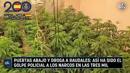 Puertas abajo y droga a raudales: así ha sido el golpe policial a los narcos en las Tres Mil Viviendas