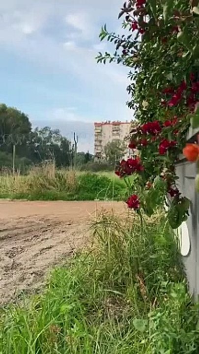 Mersin'de pusu kurup cinayet anını kameraya aldılar