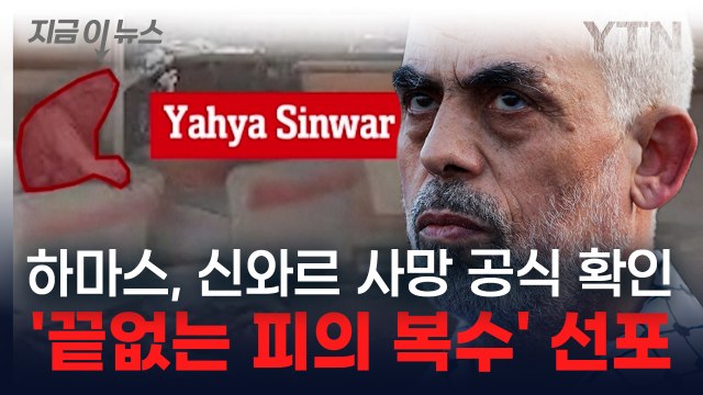 '하마스 지도자' 야히야 신와르 사망...'끝없는 피의 복수' 선포 [지금이뉴스] / YTN