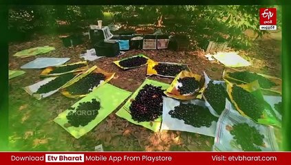 సాగు మెళకువలు నేర్పుతున్న ప్రగతి యువ కేంద్రం
