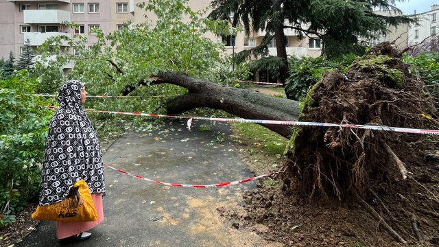 « C’était un cauchemar » : à Paris, la Cité Rose pleure ce père de famille tué par la chute d’un arbre