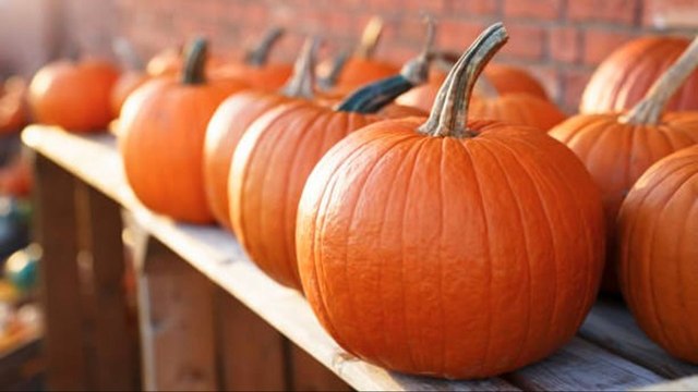 Cómo Deshacerte De Las Calabazas De Halloween De Forma Ecológica