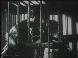 Classic Slapstick Comedy: The Gorilla DVD with Bela Lugosi