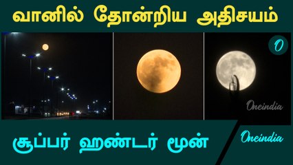 Super Hunter’s Moon Rise In Syria | Oneindia Tamil