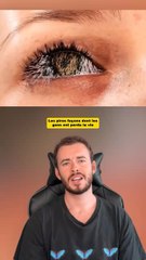 Les pires facons..