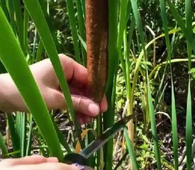 Useful hacks for your next wild adventure!