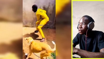 Crazy Funniest Videos That Can Only Be Seen In Africa! #funny #fails #laugh