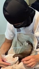 Kangaroo¿ No, It’s an otter. #shorts #aty #otter #WaterSausage (1920p_60fps_H264-128kbit_AAC)