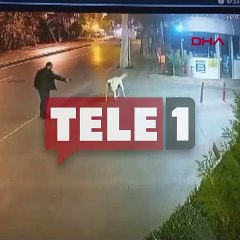 Köpeğe silah çeken saldırgan tutuklandı!