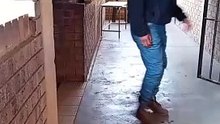 The moment