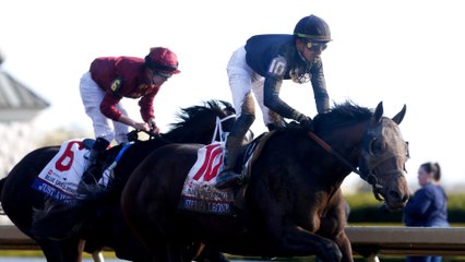 Exploring the Raven Run Race: Key Contenders & Strategies