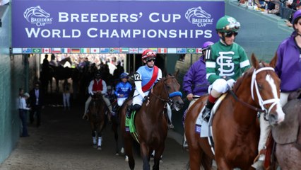 Previewing the Breeders Cup Juvenile Races for 2024