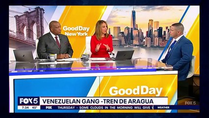 Introducing... The Vance Glance.//The Dan Bongino Show Clips