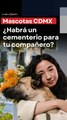 ¿Habrá un cementerio para mascotas en la CDMX? Esto se sabe