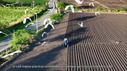 Un impacto tangible en la comunidad