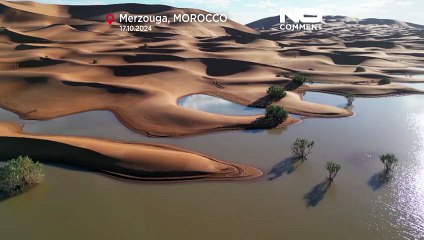 Download Video: Marocco, le piogge ridanno vita a un lago nel Sahara