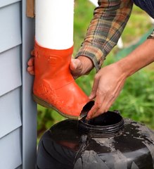 Make Your Yard Shine This Season with These Effortless Ideas!