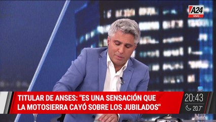  DECLARACIONES DEL TITULAR DE LA ANSES