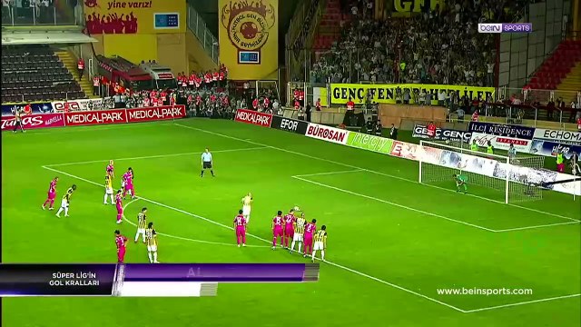 Alex de Souza _ Süper Lig'in Gol Kralları _ 2010-11