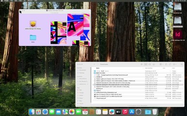 How to Install Id 19.5 on ARM macOS
