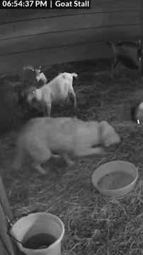 He just wanted to be friends