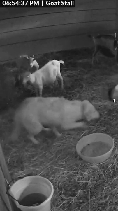 He just wanted to be friends