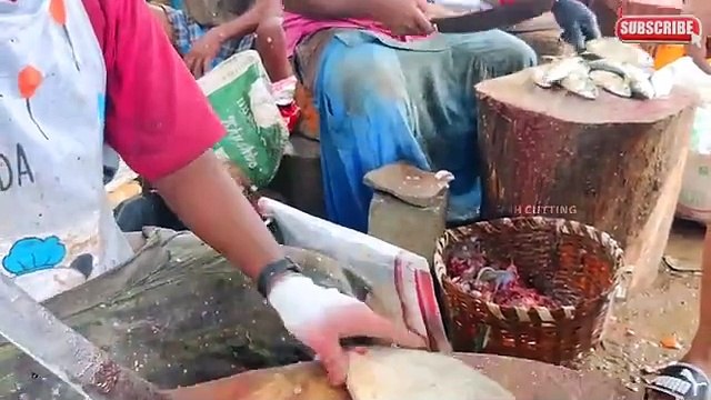 KASIMEDU SPEED SELVAM | MONSTER RED SNAPPER FISH CUTTING | FISH CUTTING SKILL | KASIMEDU | CKFC