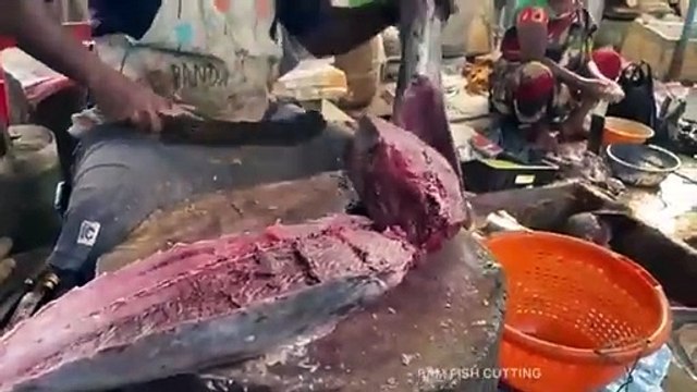 SPEED SELVAM | LETHER JACKET FISH CUTTING VIDEO | IN KASIMEDU | FF CUTTING