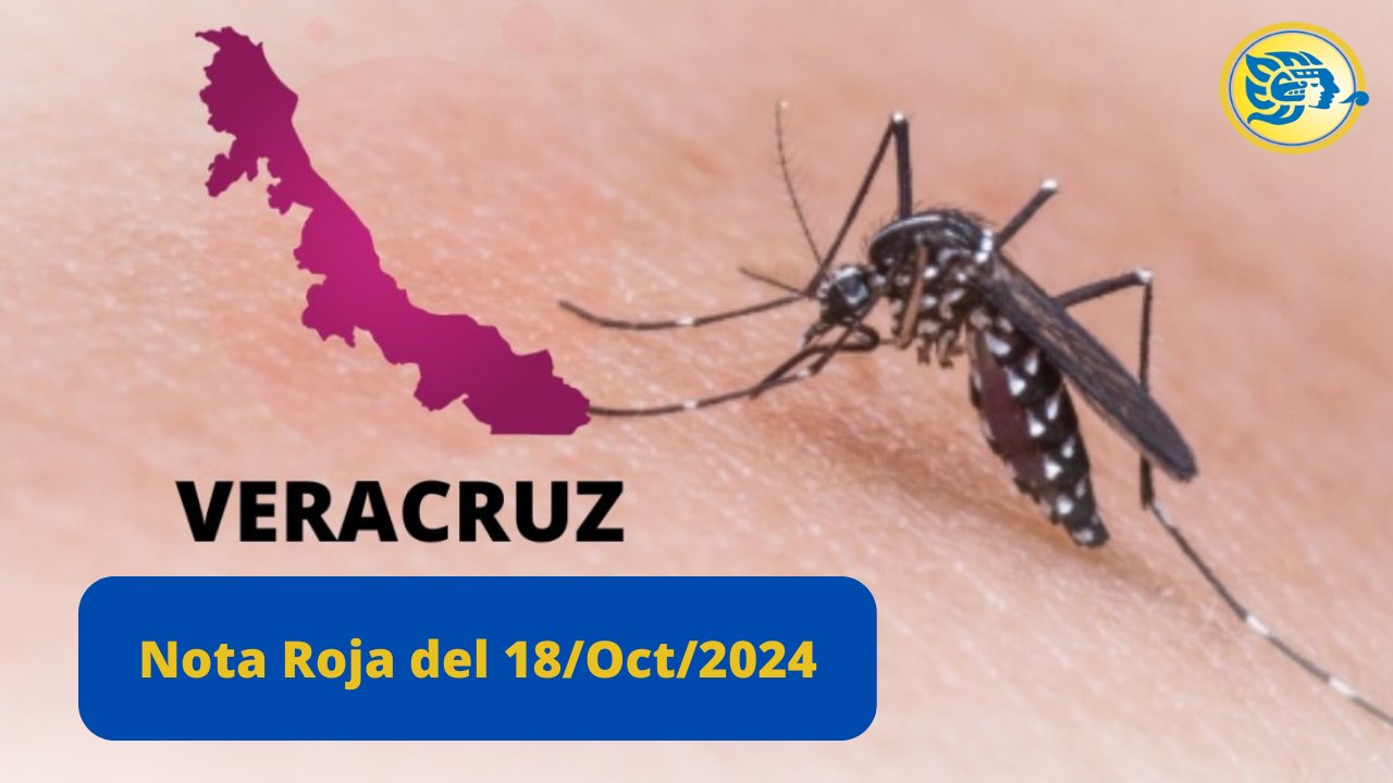 Resumen del 18 de Octubre