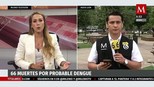 Notifican 66 defunciones en Nuevo León por probable dengue y confirman 4