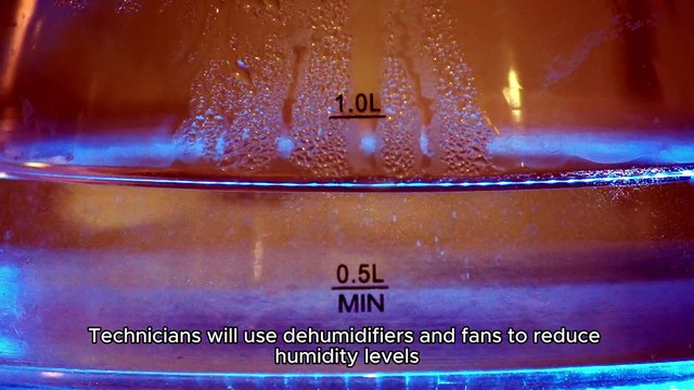 24/7 EMERGENCY WATER DAMAGE RESTORATION | Professional Water Cleanup Services