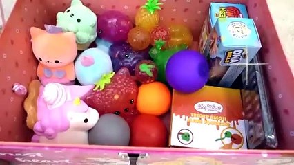 Diana and Roma did not share Squishy & slime