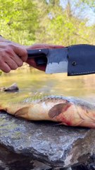 Fresh fish mud cooking style