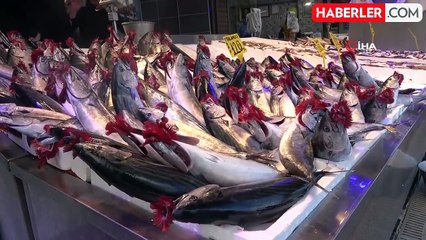 Palamut Fiyatları Hava Muhalefeti Nedeniyle Yükseldi